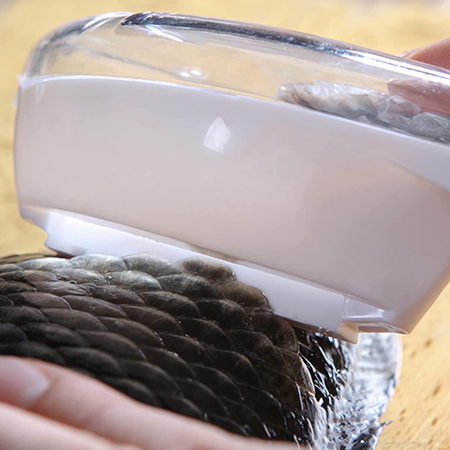 Écailler Transparent pour Poisson