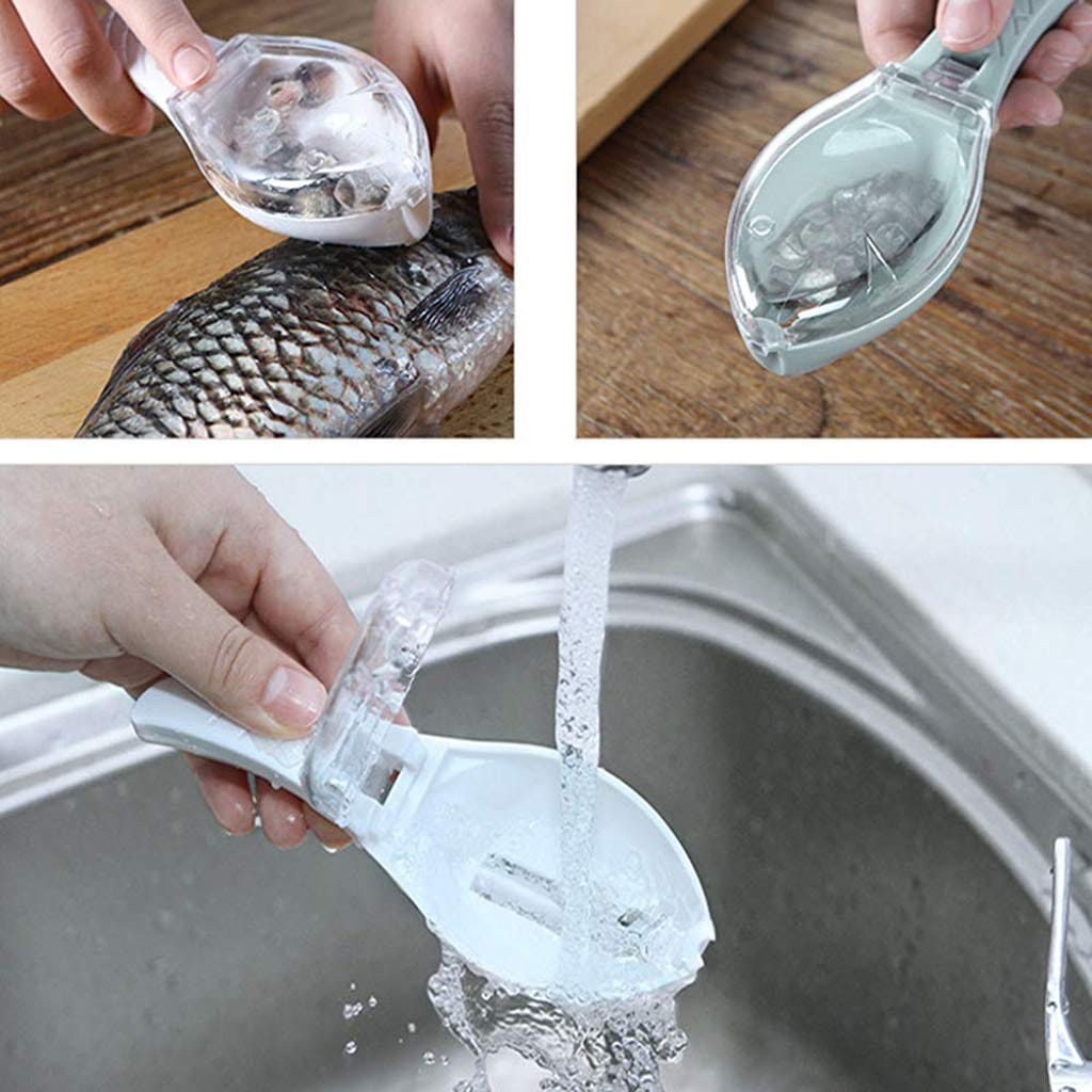 Écailler Transparent pour Poisson