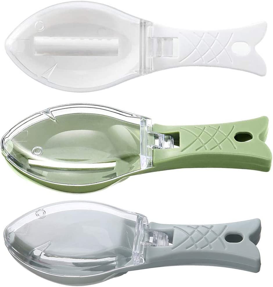 Écailler Transparent pour Poisson
