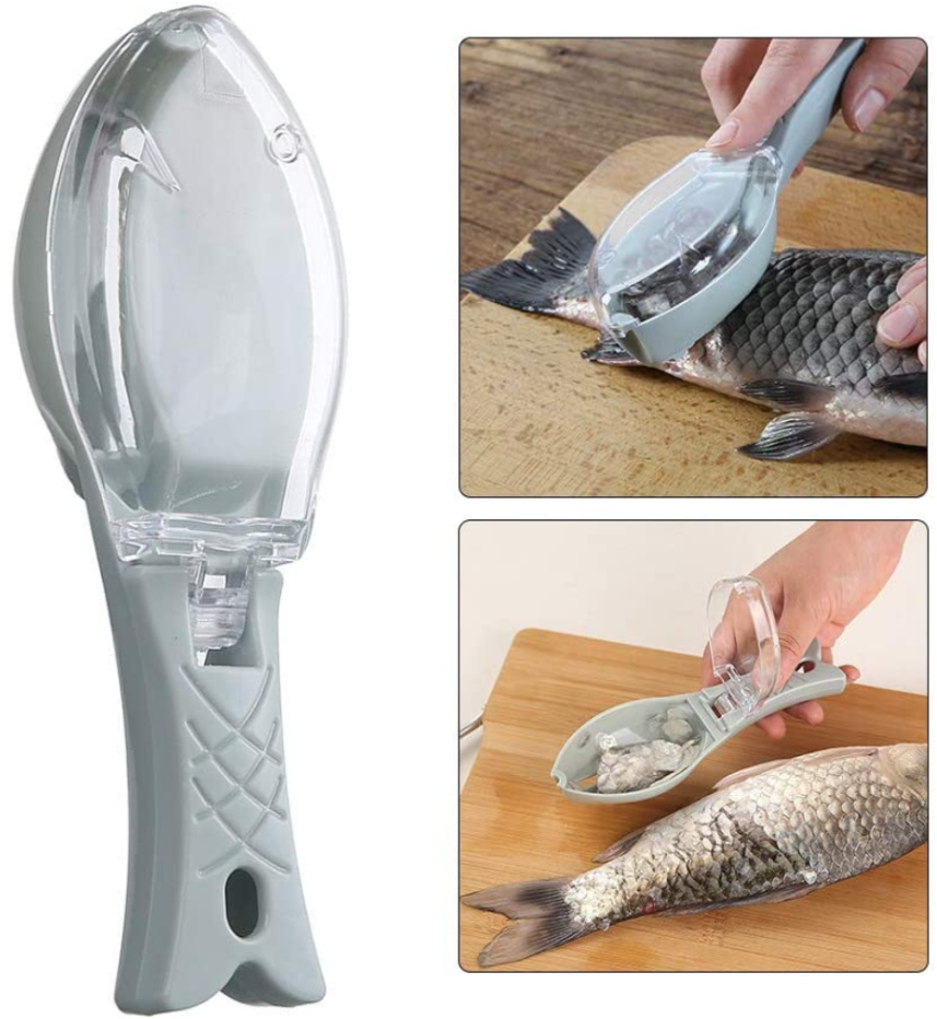 Écailler Transparent pour Poisson