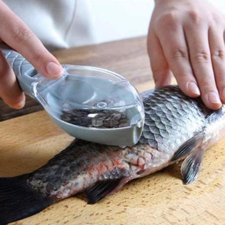 Écailler Transparent pour Poisson