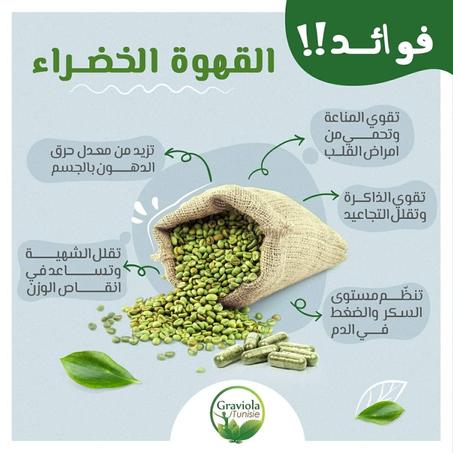 القهوة الخضراء