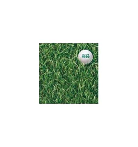 Semilla Raygrass inglés
