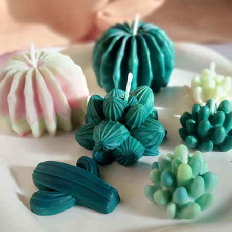 مجموعة شموع الصبّار