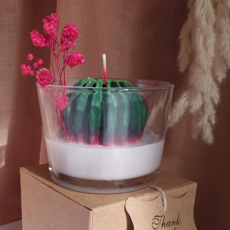 شمعة "الصبّارة"