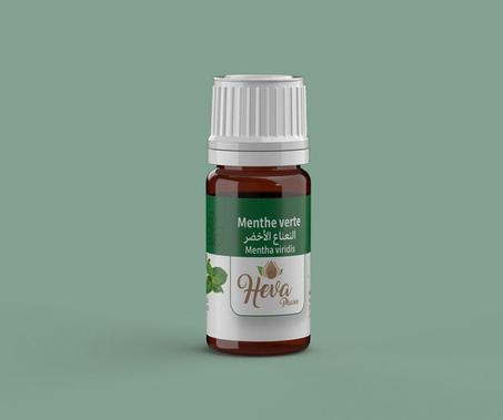 Mint Green النعناع الاخضر