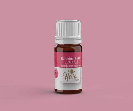 Rose geranium ابرة الراعي