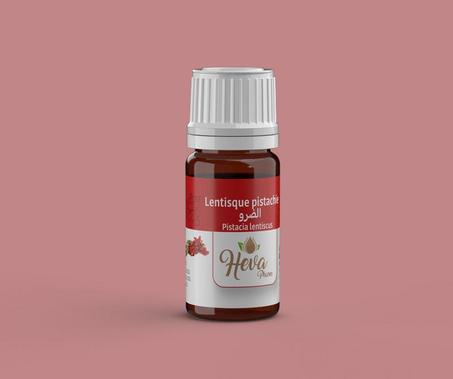 Pistacia lentiscus الضرو