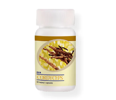 CORDYCEPS (60 TABS) + GL90 Gratuis