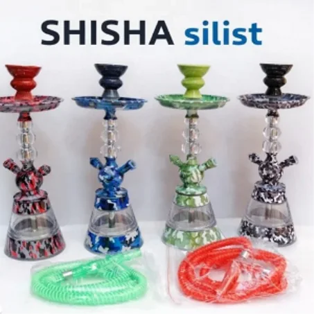 Chicha Silist