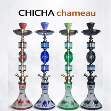 Chicha Chameau Design
