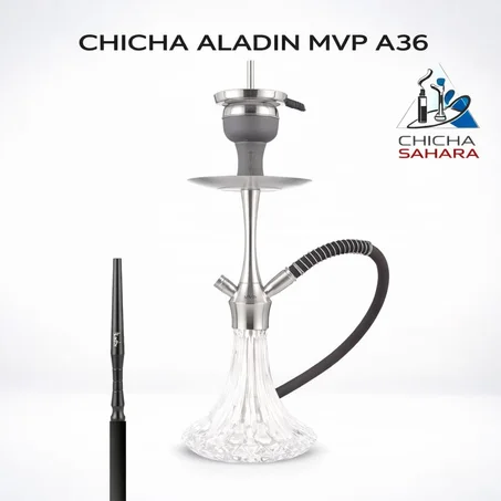 chicha aladin MVP 36