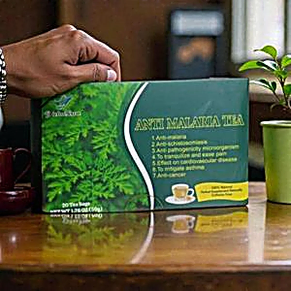 Thé Anti-Paludisme Wins Town — Artemisia Annua, 7 Actions Naturelles, 20 Sachets