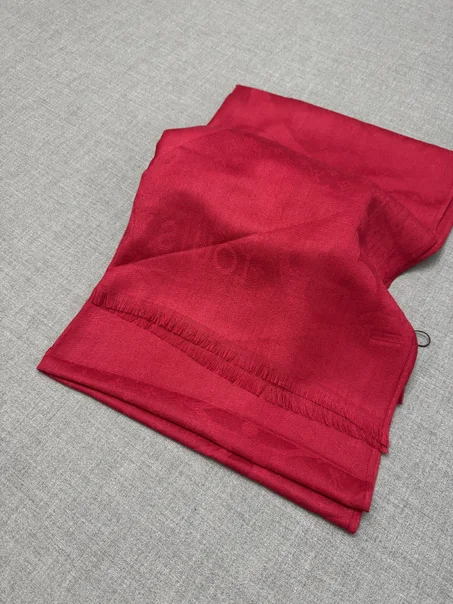 chales LOUIS VUITTON femmes 2