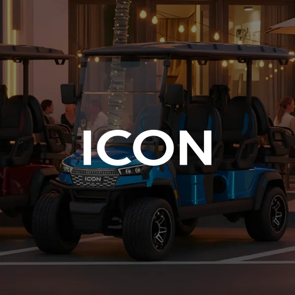 Golf cart interior - Contact Eric Carts