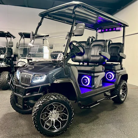 2025 Evolution D5 Maverick 4 Plus Arctic Grey – Premium 4 Passenger