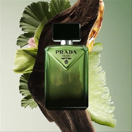 Decante Homme