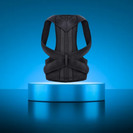 حزام دعم الظهر