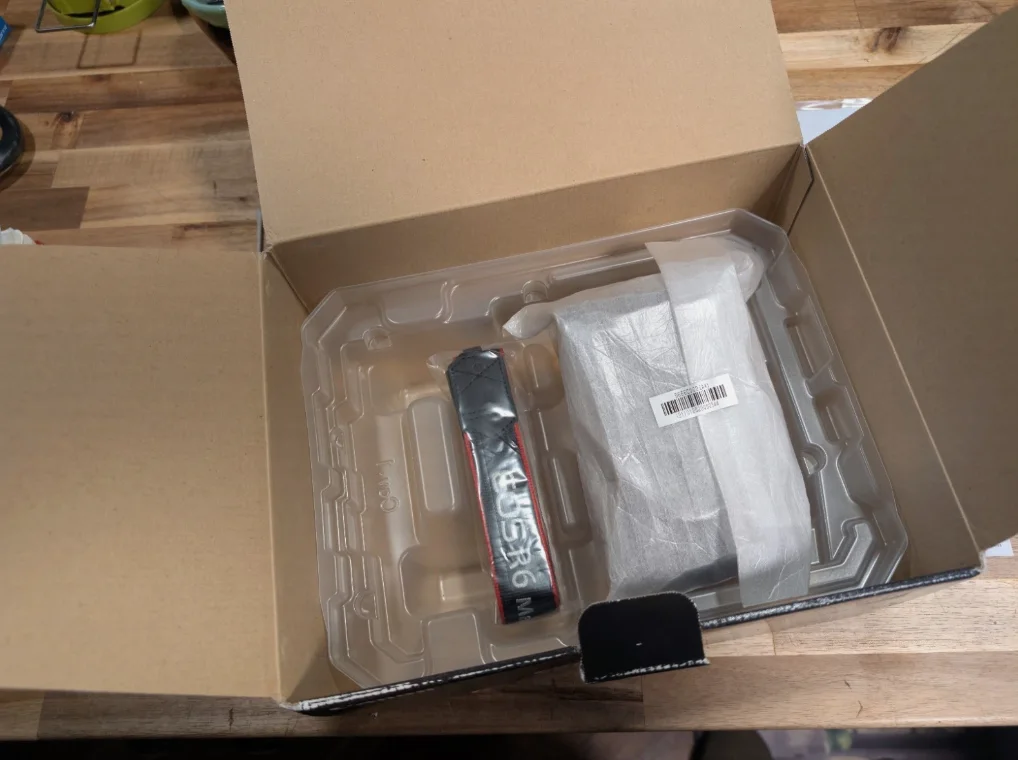 Canon EOS R6 Mark II 24.2MP Full Frame Mirrorless Digital Camera ~~MINT~~