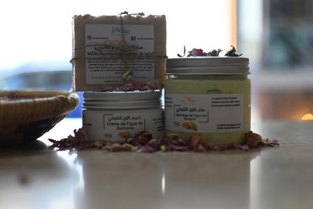 مجموعة التين الشوكي