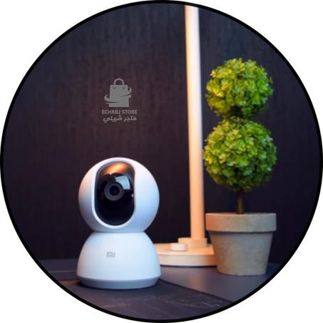 أنظمة الحماية والمراقبة