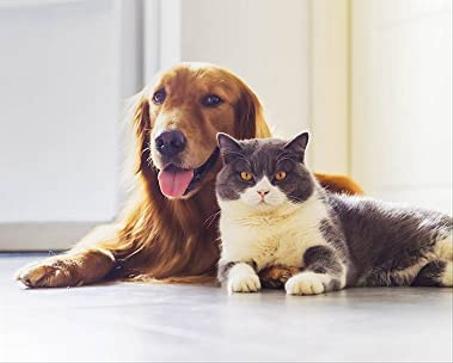 Magasiner les fournitures pour animaux de compagnie