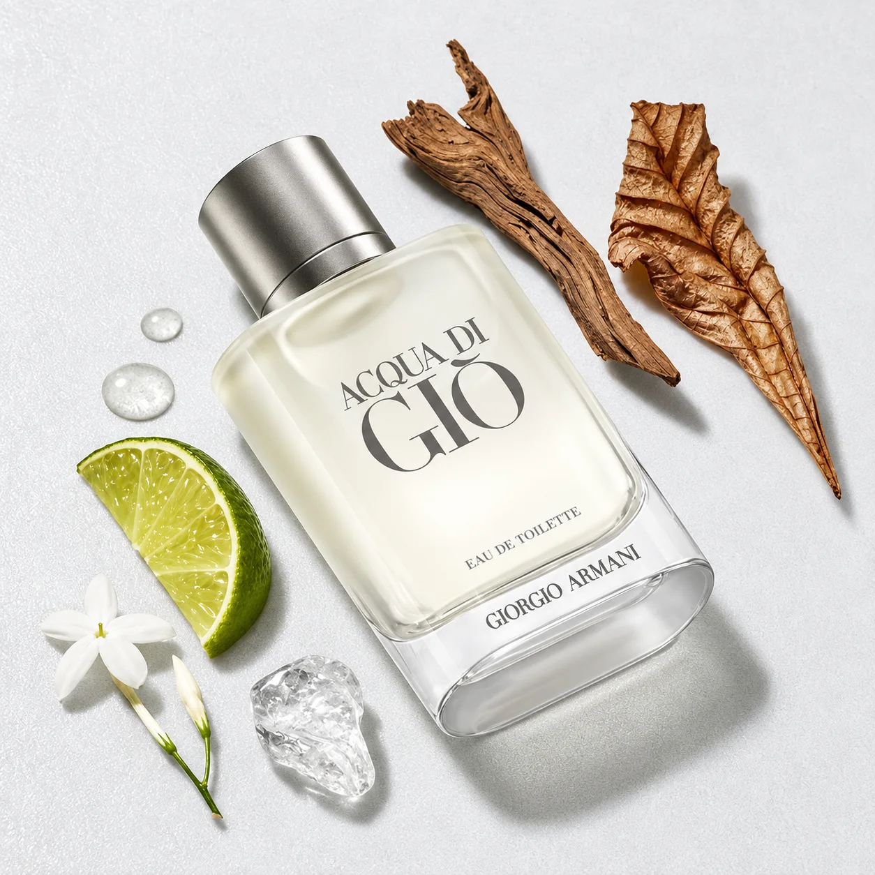 Giorgio Armani Acqua di Giò Eau de Toilette for Men