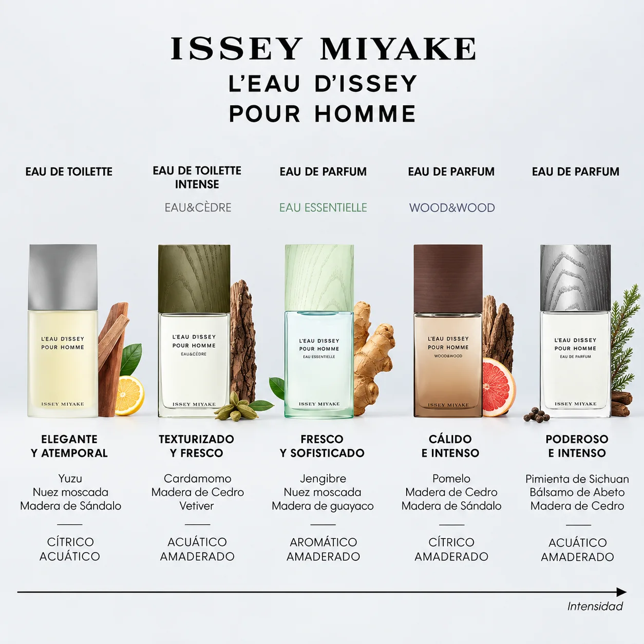 Issey Miyake L’Eau d’Issey Pour Homme Eau de Toilette