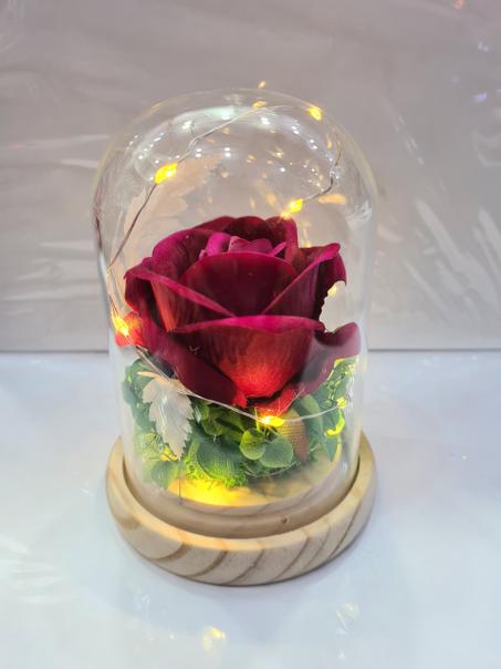 rose rouge sous cloche