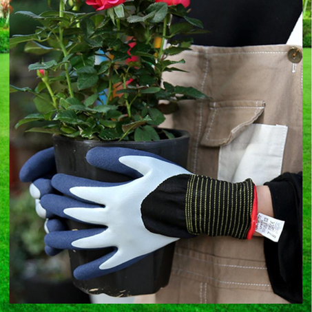 Guantes/Equipos/Protección