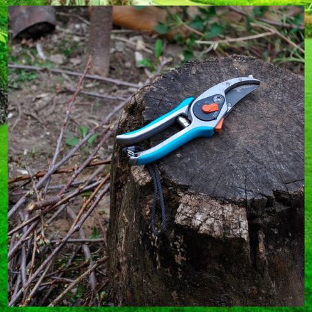 Cortasetos/Tijeras de Podar