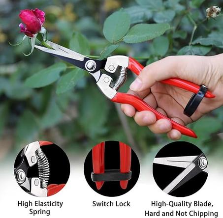 Pruning Shears - 3 Pack
