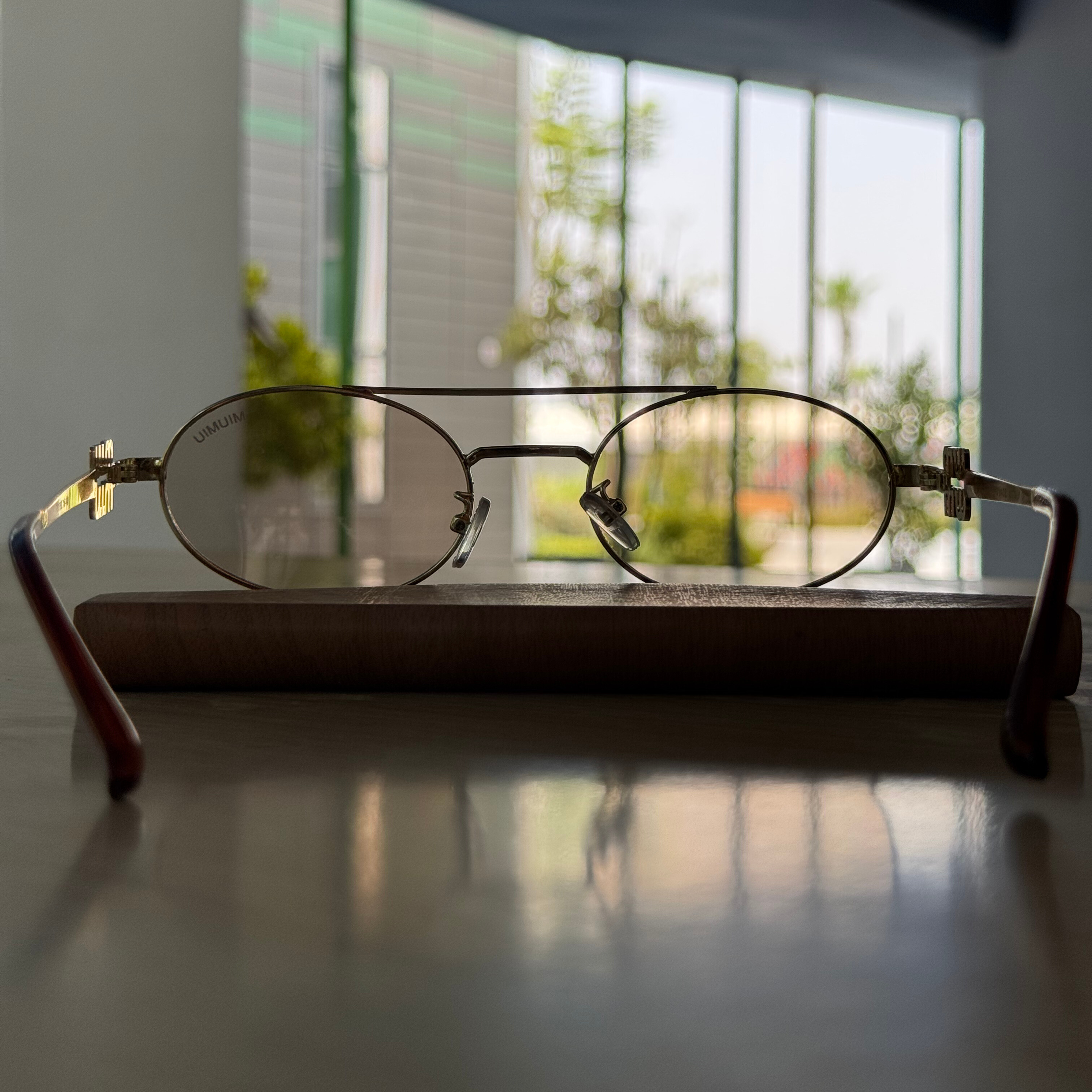 Miu Miu marron
