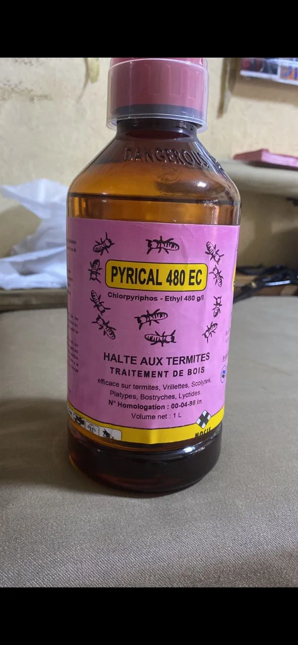 PYRICAL 480 EC – Insecticide concentré pour une protection efficace