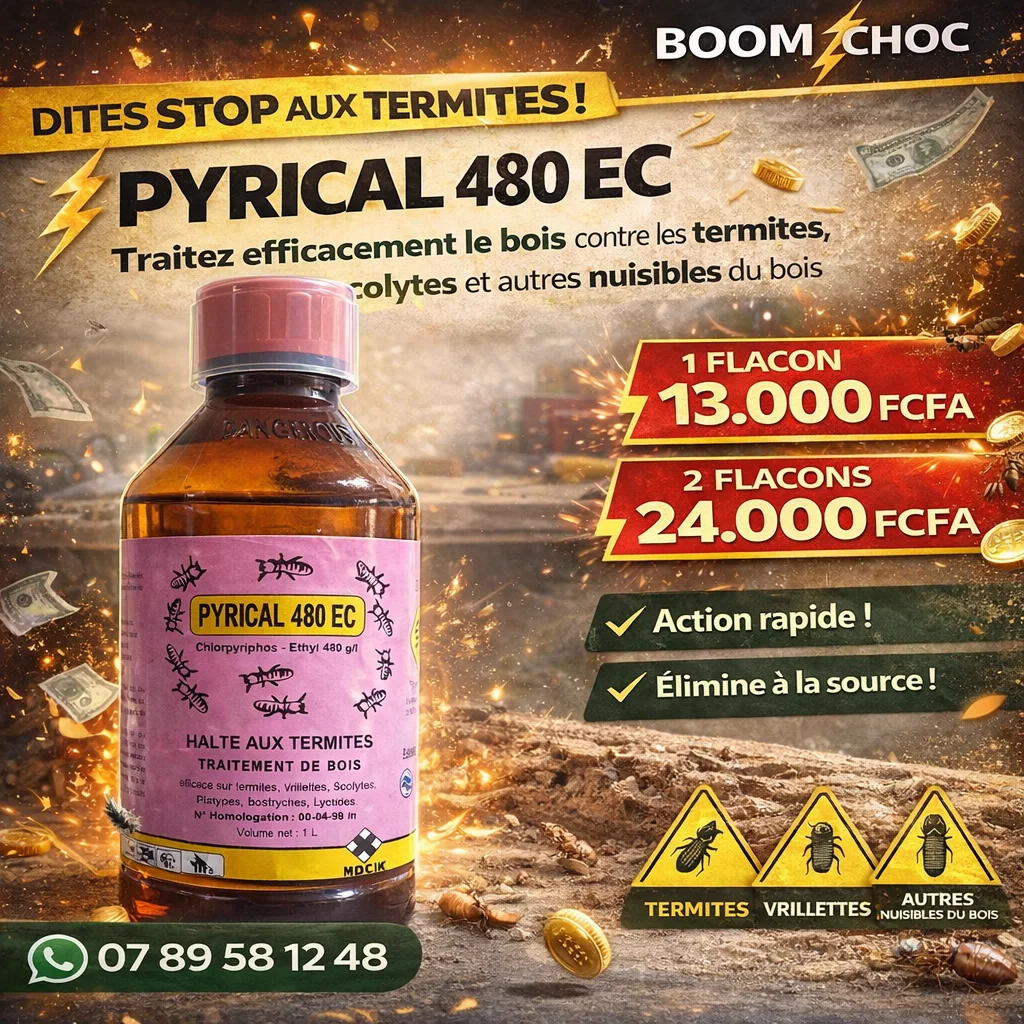PYRICAL 480 EC – Insecticide concentré pour une protection efficace