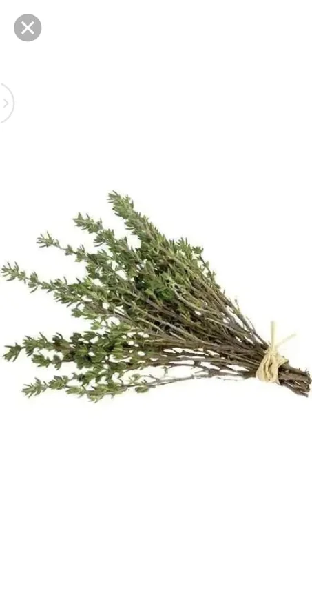 زعتر