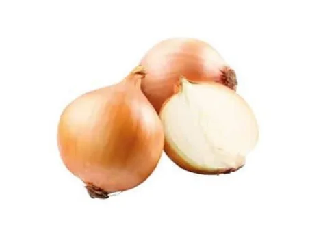 بصل