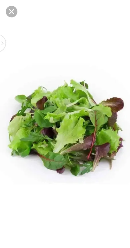 جرجير