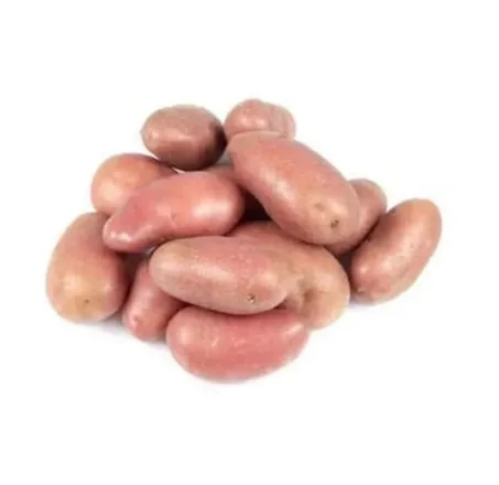 بطاطا