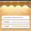 stores/70ad590d5c2aed8bc885ecc38a8576c4/products/yUt1iXcePDf2EyH5LI00lzJUmJGz4OJ92t6gMlCr.jpg