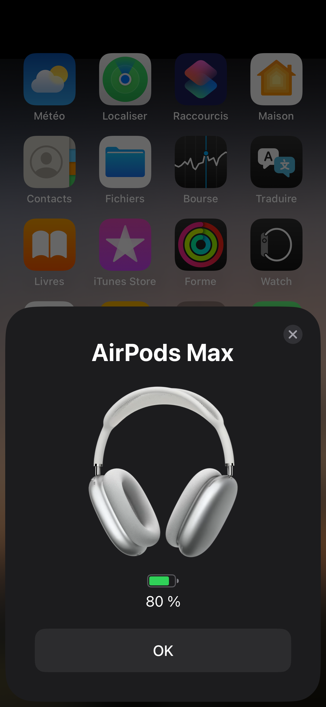 AIRPODS MAX