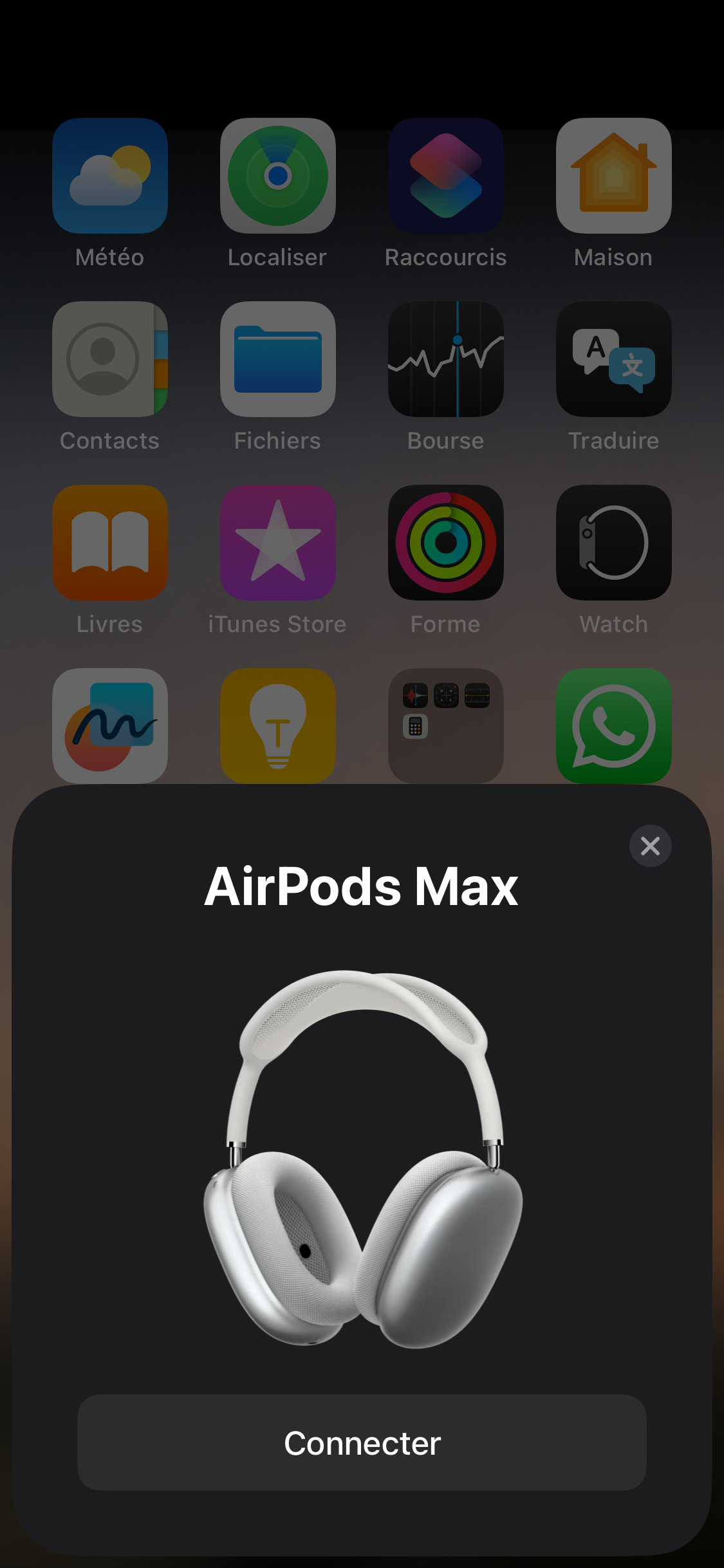 AIRPODS MAX