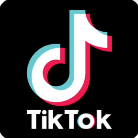 TIK TOK VIEWS
