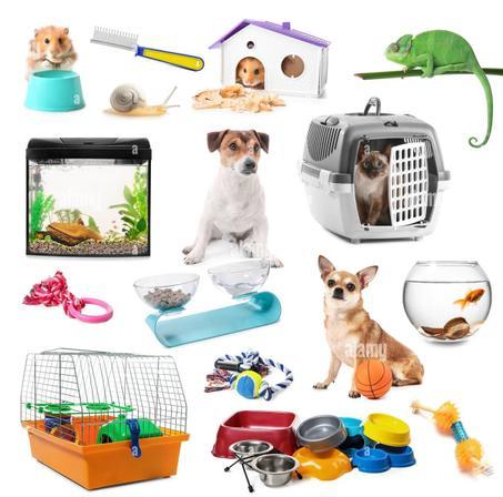 مستلزمات الحيوانات الأليفة