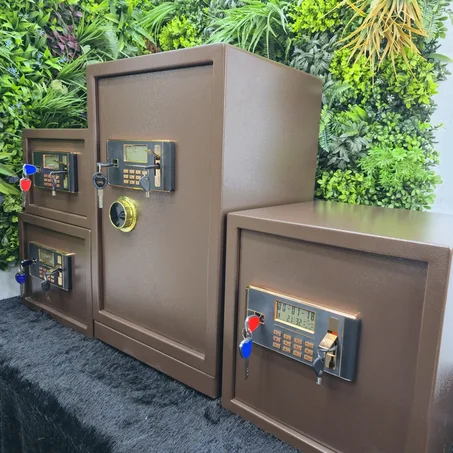 Coffre-Fort Securite Haut Protection