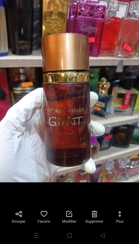 GEANT INTENSE 10em ANNIVAIRSAIRE