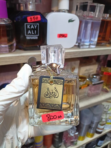 أنتي في بالي