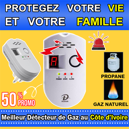 Détecteur de Gaz Intelligent