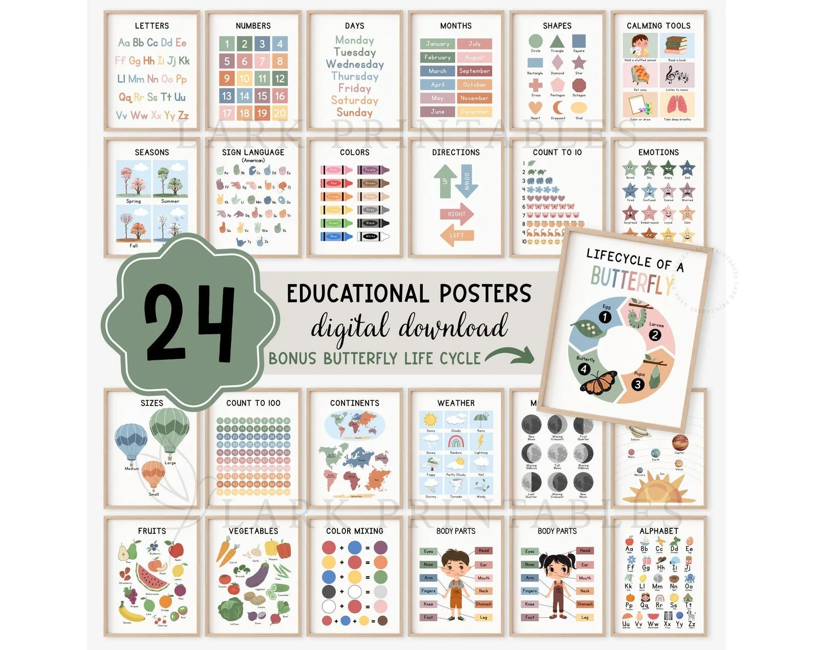 Educational Poster for Toddlers