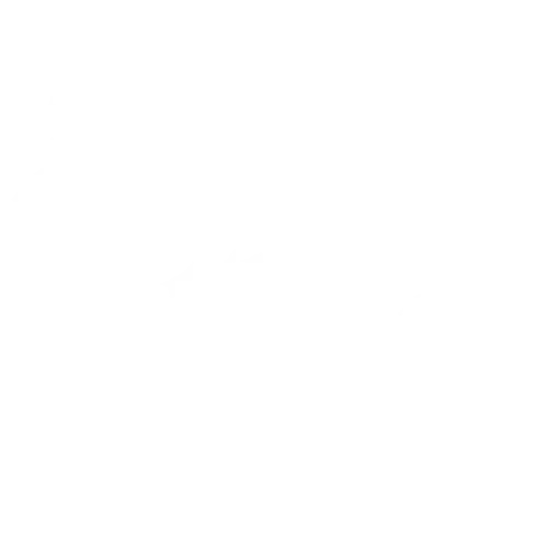 Rawassi